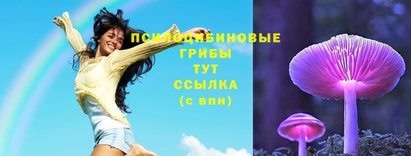 Альфа ПВП Инта