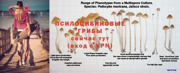 герыч Абаза