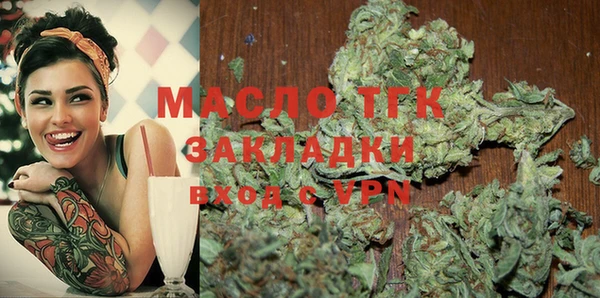 гидра Медвежьегорск