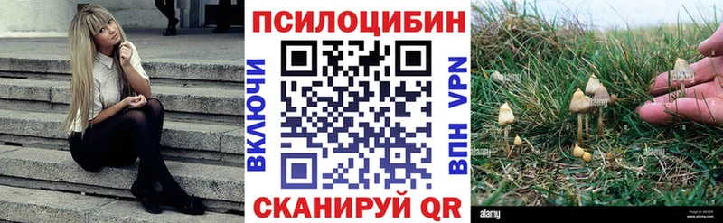 Псилоцибиновые грибы Psilocybe Мостовской